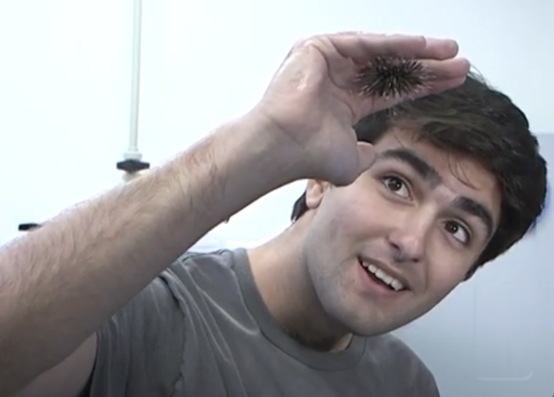 Graduate student Andrew Moura is lead author on sea urchin study
