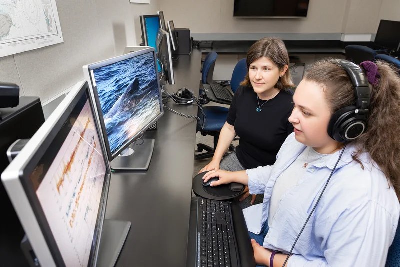 People working on a computer.