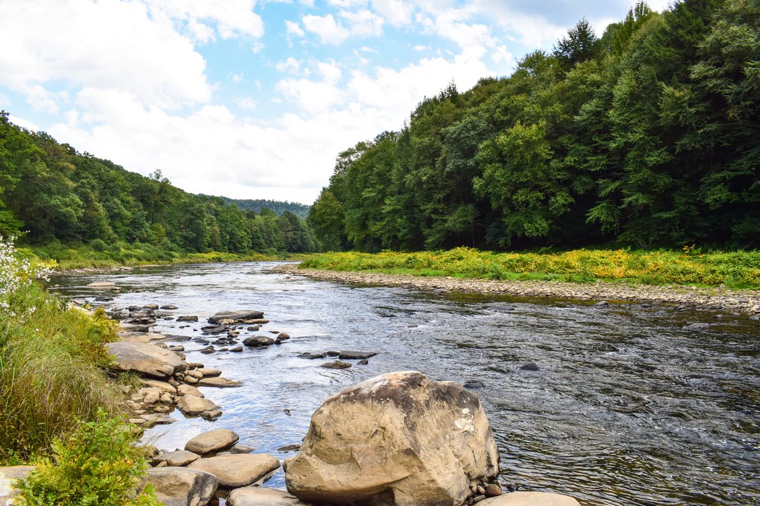 River with trees lining it.