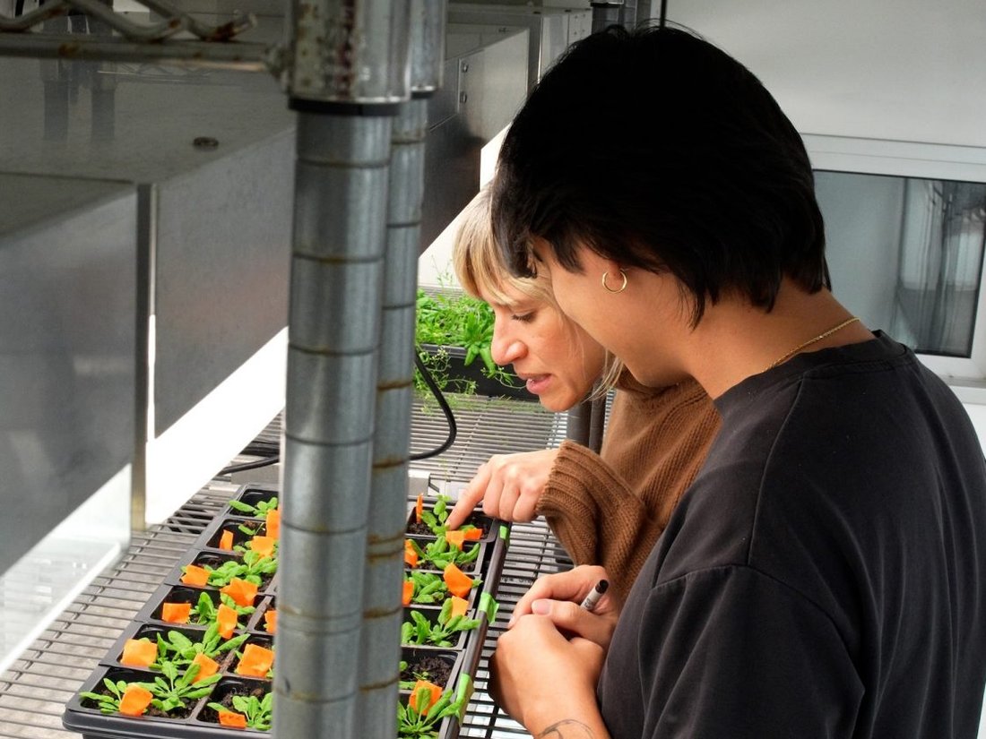 Professor and student looking over plants.