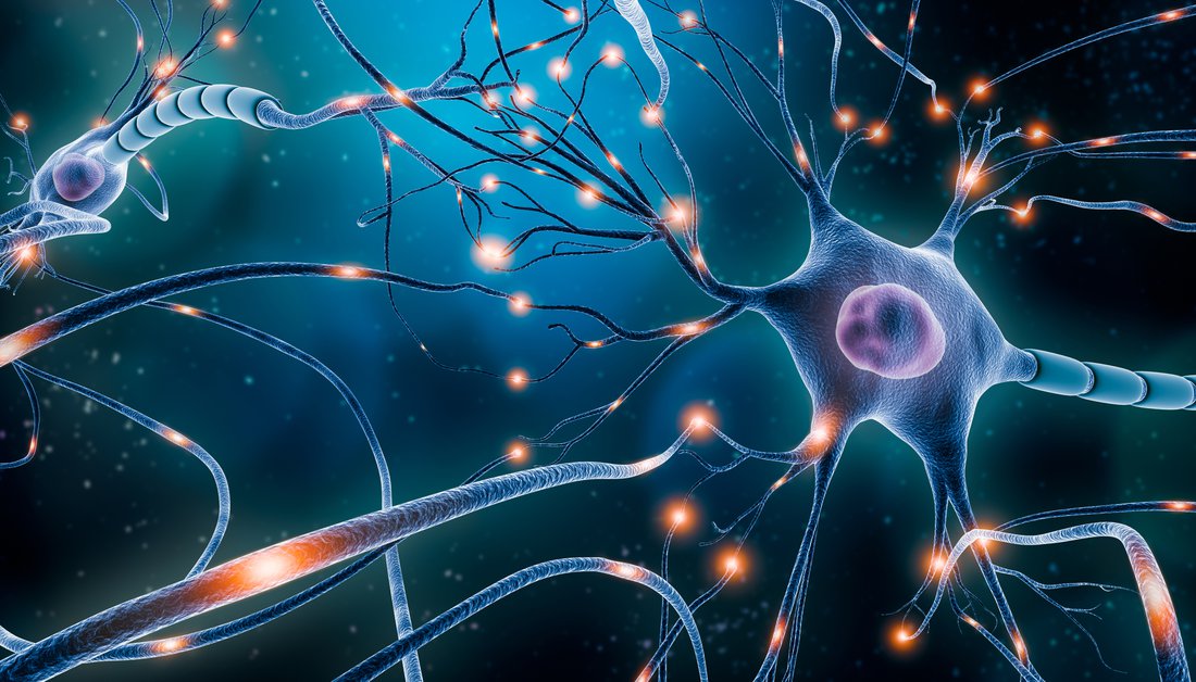Artist's conception of a neuronal network with electrical activity of neuron cells 3D rendering illustration. Neuroscience, neurology, nervous system and impulse, brain activity, microbiology concepts.