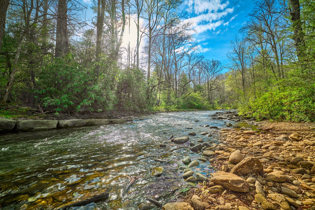 Mills river photo with trees and blue sky