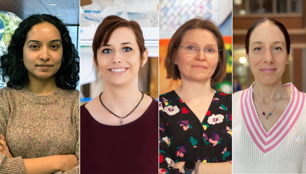 Images of Tripti Bhattacharya, Alison Patteson, Olga Makhlynets and Rachel Steinhardt.