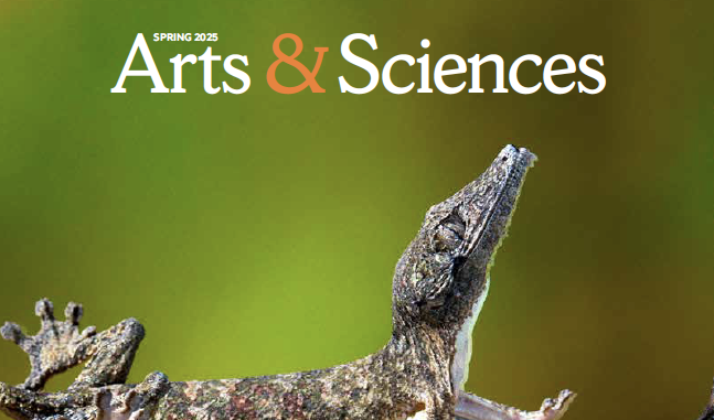 Leaping gecko on magazine cover