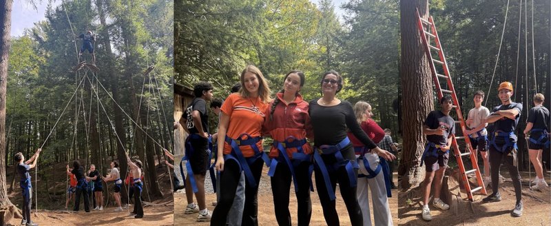 Students taking part in a high ropes course.