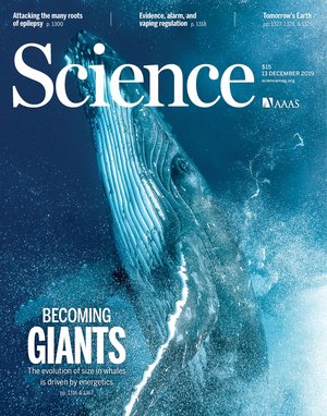 Whale diving. Cover of Science magazine.