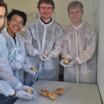 Researchers with Soos Separate Male and Female Chicks