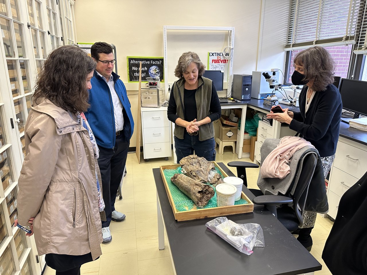 Four people standing around a dinosaur bone.