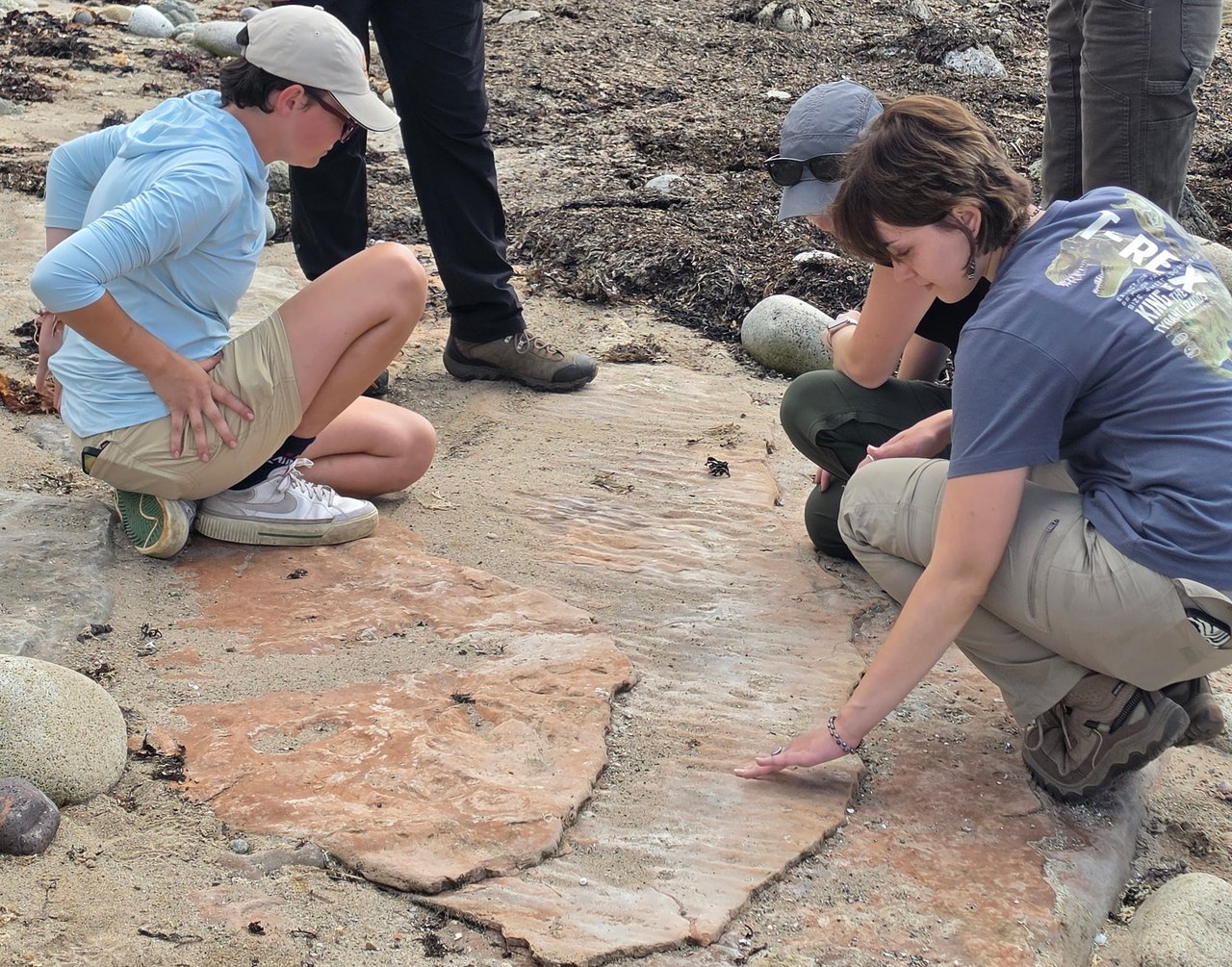People bending down examining sandstone.