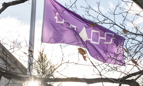 haudenosaunee flag