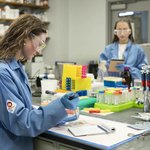 Person using a pipette.