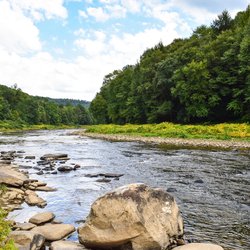 River with trees lining it.