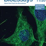 BioEssays journal cover, from Wiley.