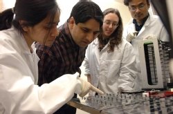 Professor Ramesh Raina, biology department chair, works in the laboratory with students