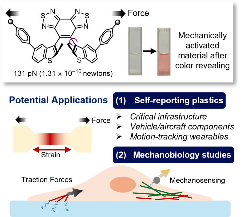 Diagram of Ultrasensitive molecular force sensors