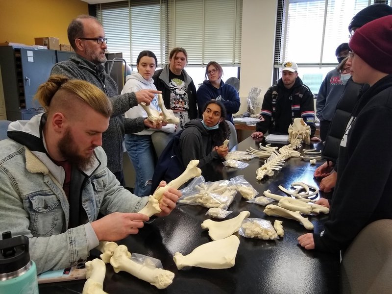 Bones on table