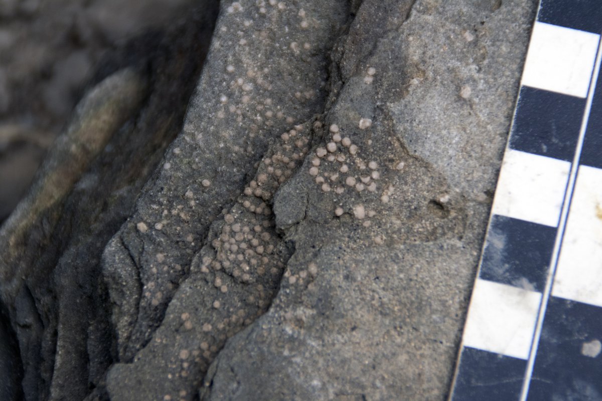 Closeup of the rocks exposed along Darting Minnow Creek.