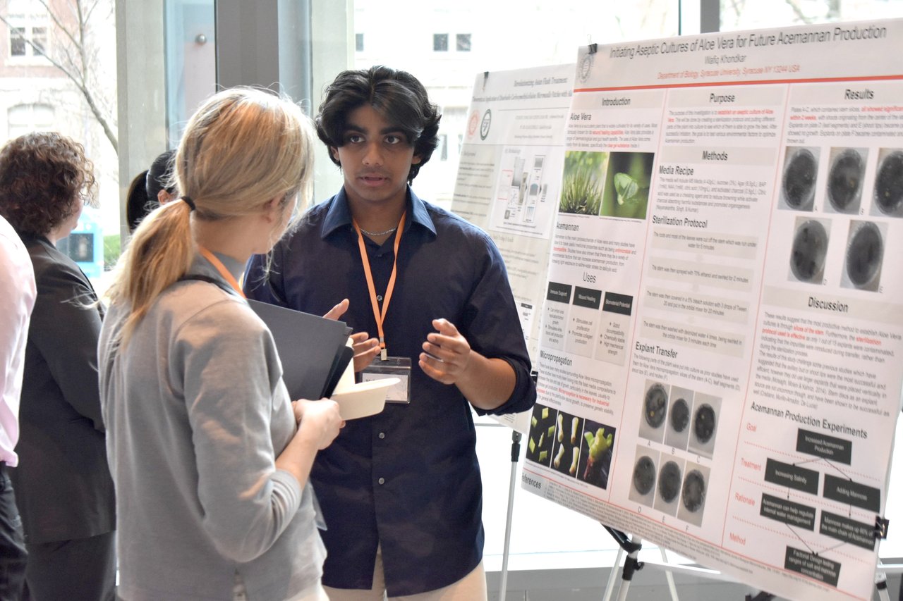 Person presenting an academic poster to another person.