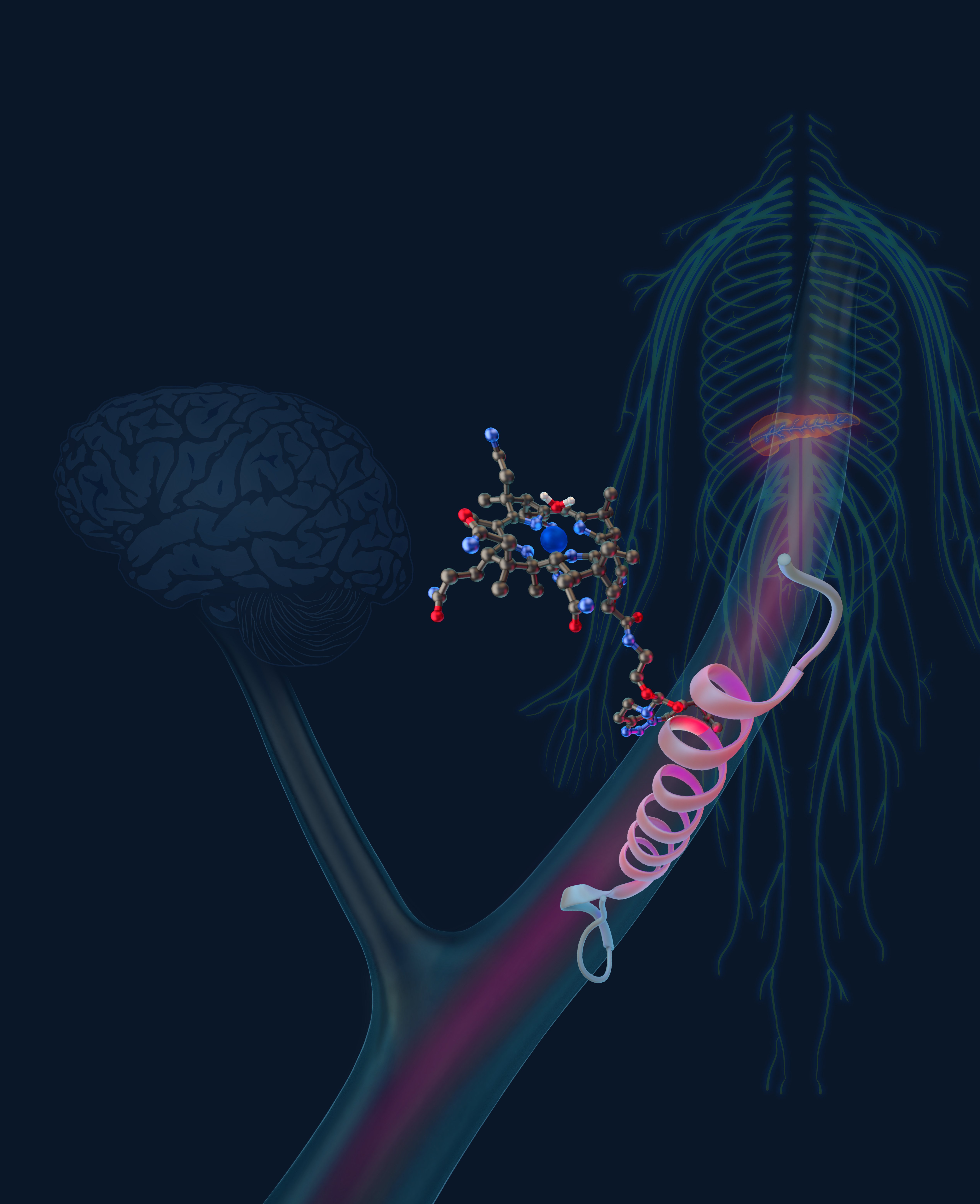 Cell Reports -D-19-01875-Robert Doyle-psd.jpg