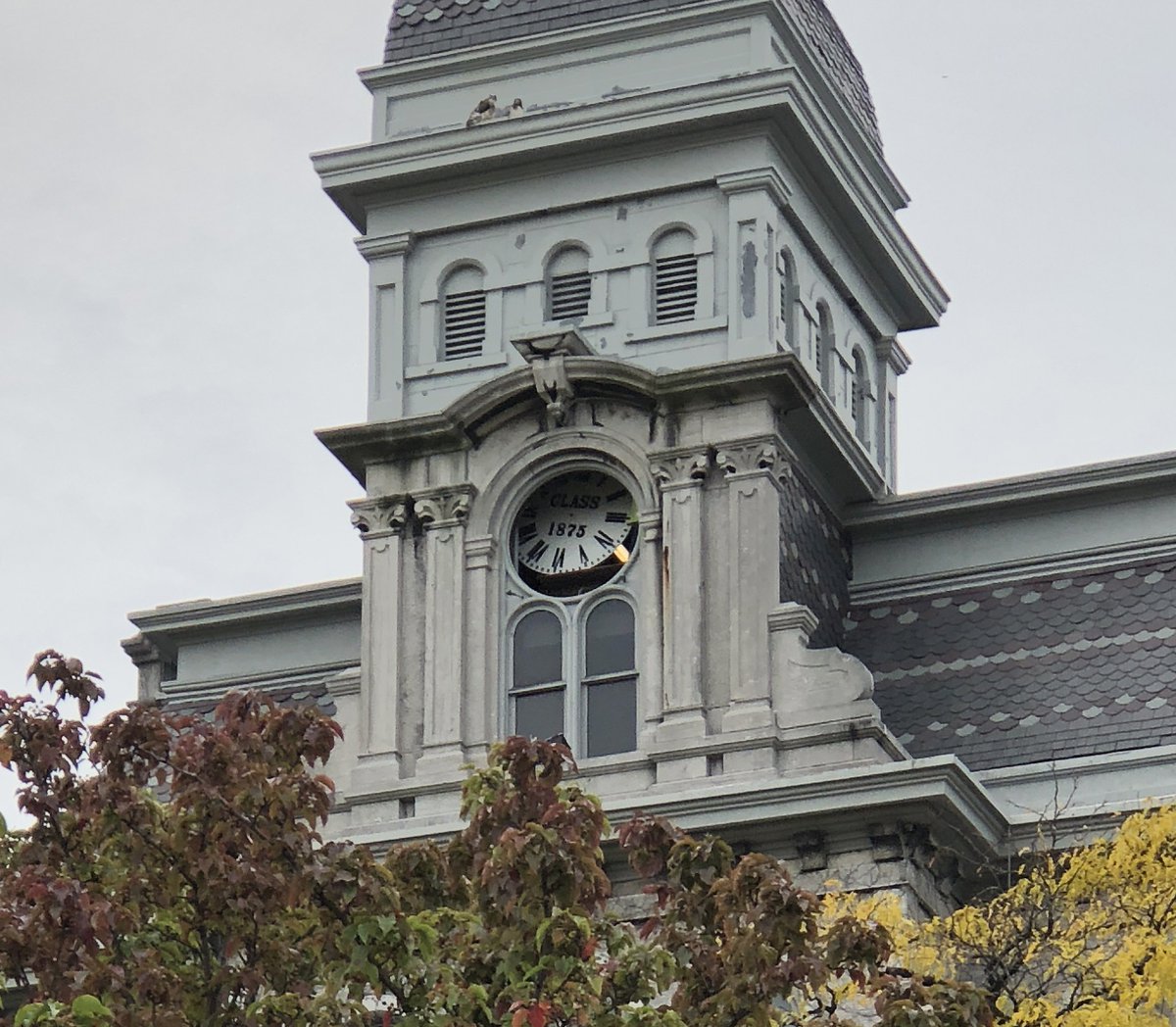 Hall of Languages clock change.