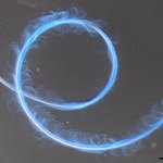 Microscopic view of sperm cells