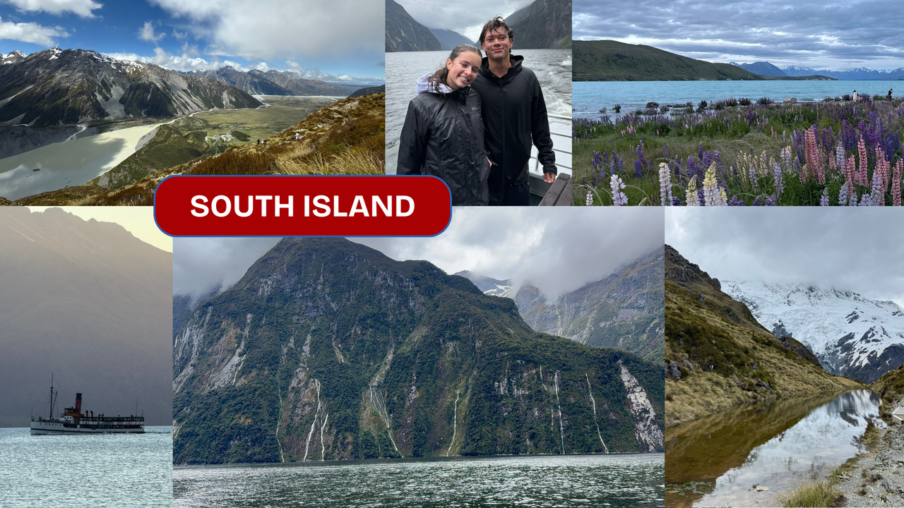 Photo montage of a Coronat Scholar in South Island.