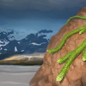 Illustration of a shrub covering a rock.