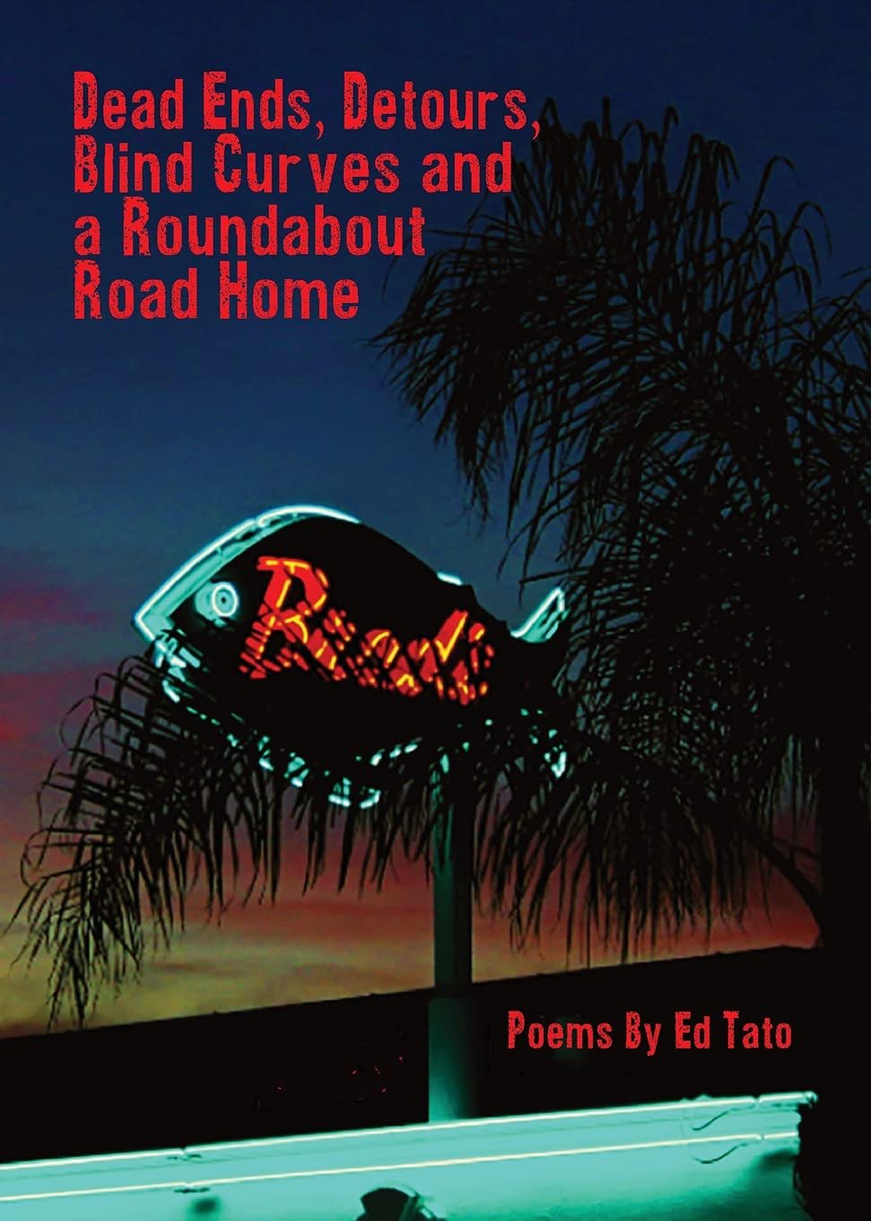 Dead Ends, Detours, Blind Curves and a Roundabout Road Home