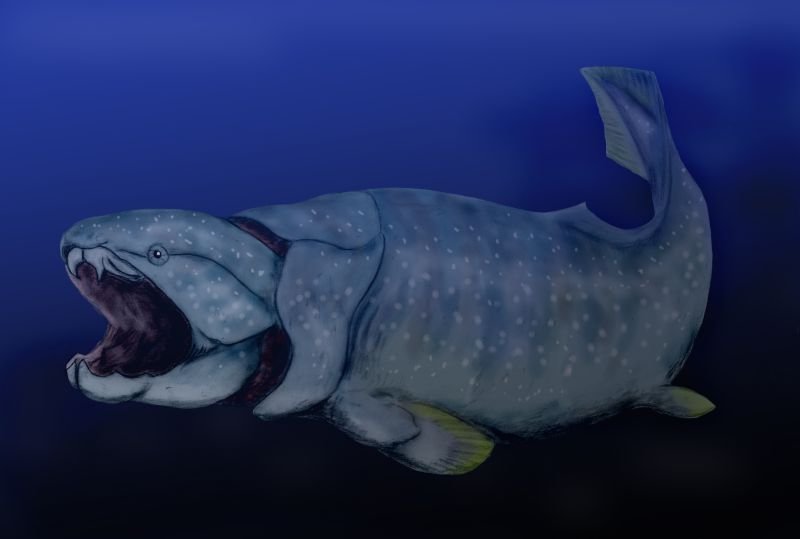 An artistic depiction of Dunkleosteus, a prehistoric jawed fish.