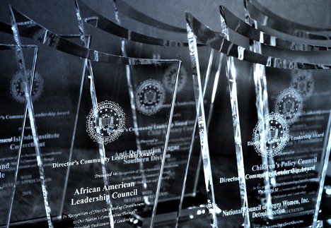 Various FBI Director's Community Leadership awards.