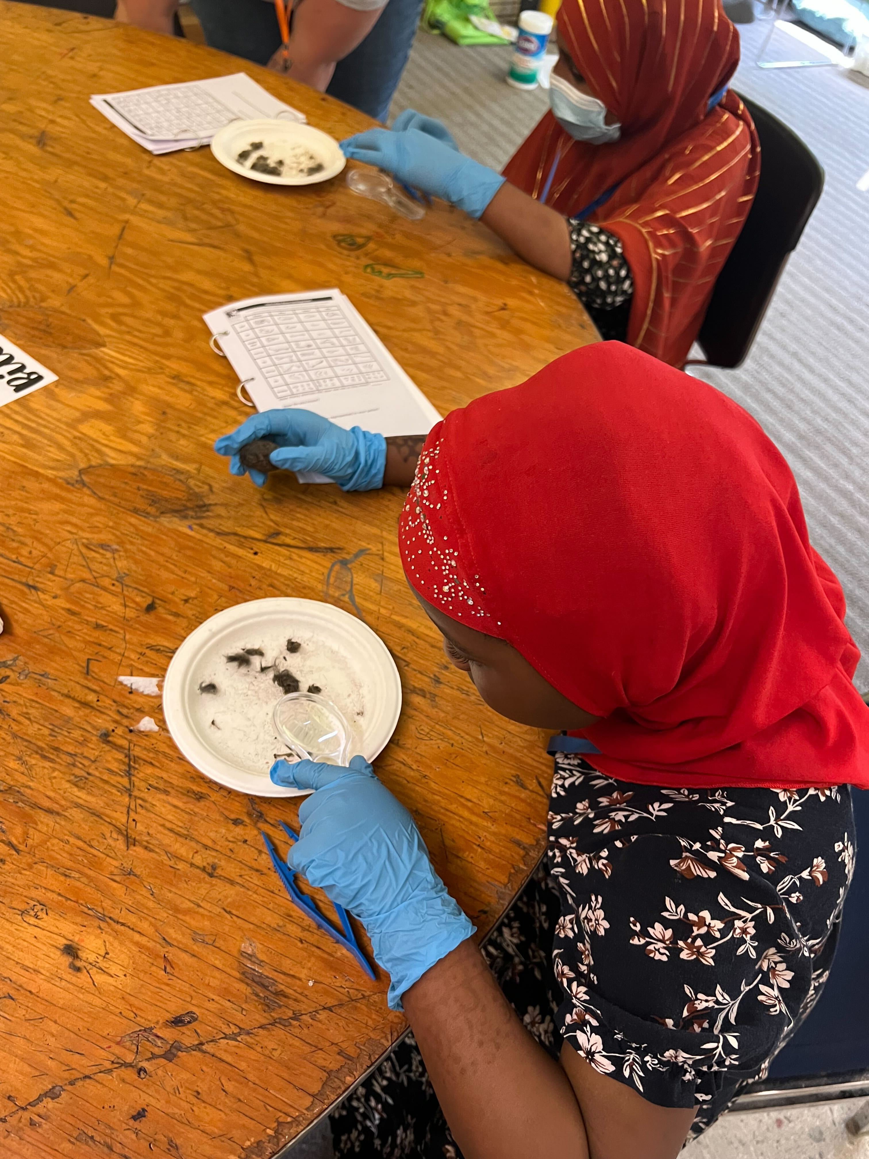 NSLC students dissect owl pellets to better understand food chains.