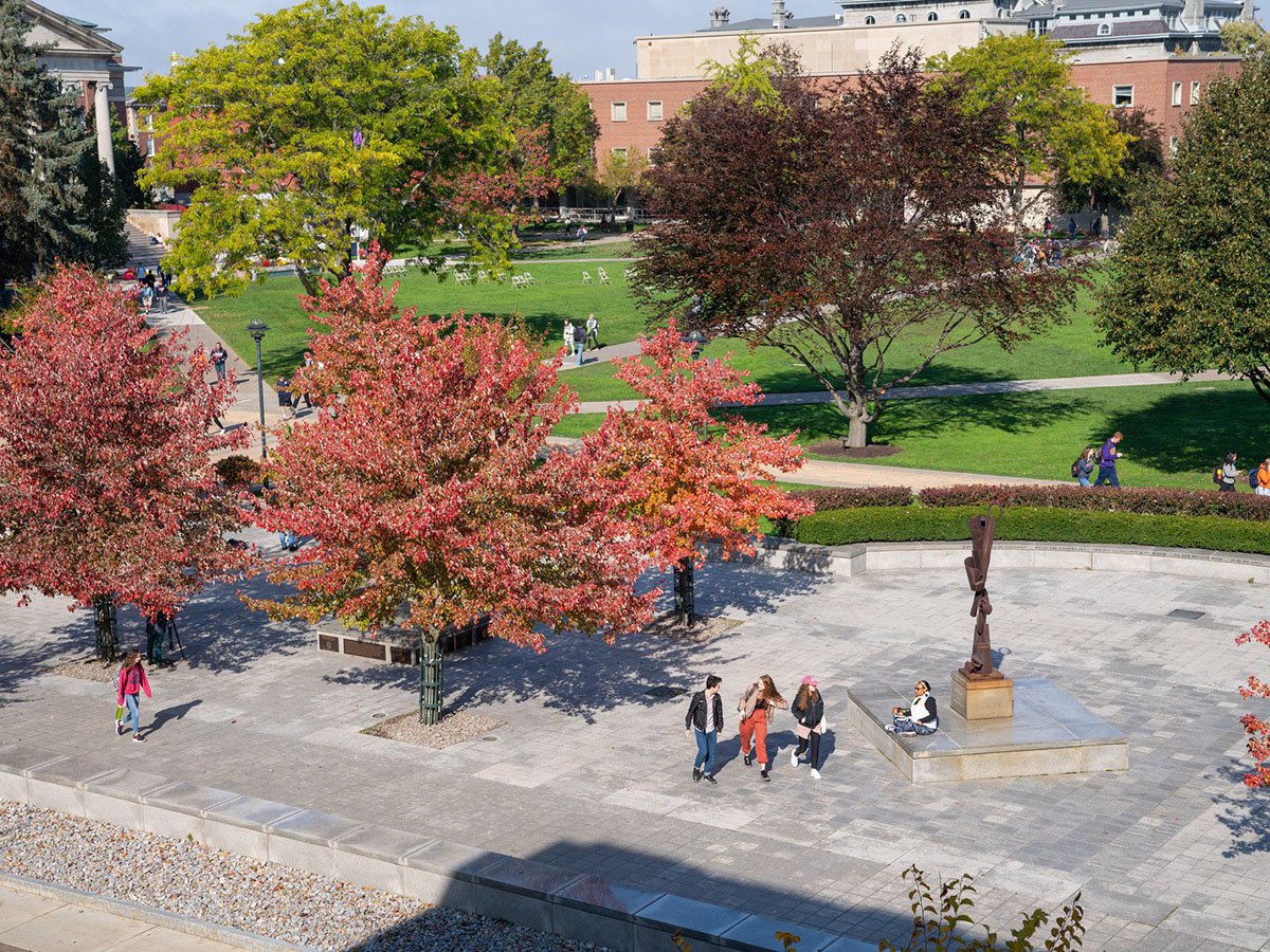 The orange grove and quad in fall.