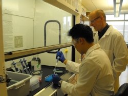 Forensics Professor Kevin Sweder teaches graduate student Jamie Wong to analyze DNA. 