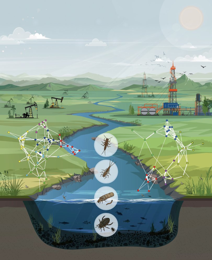 Graphic representation of the effects of oil and gas development on a river ecosystem.