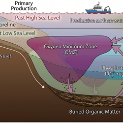 An AI-generated image depicts the process of oceanic temperature regulation.