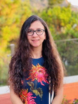 Havva Zorluel Özer