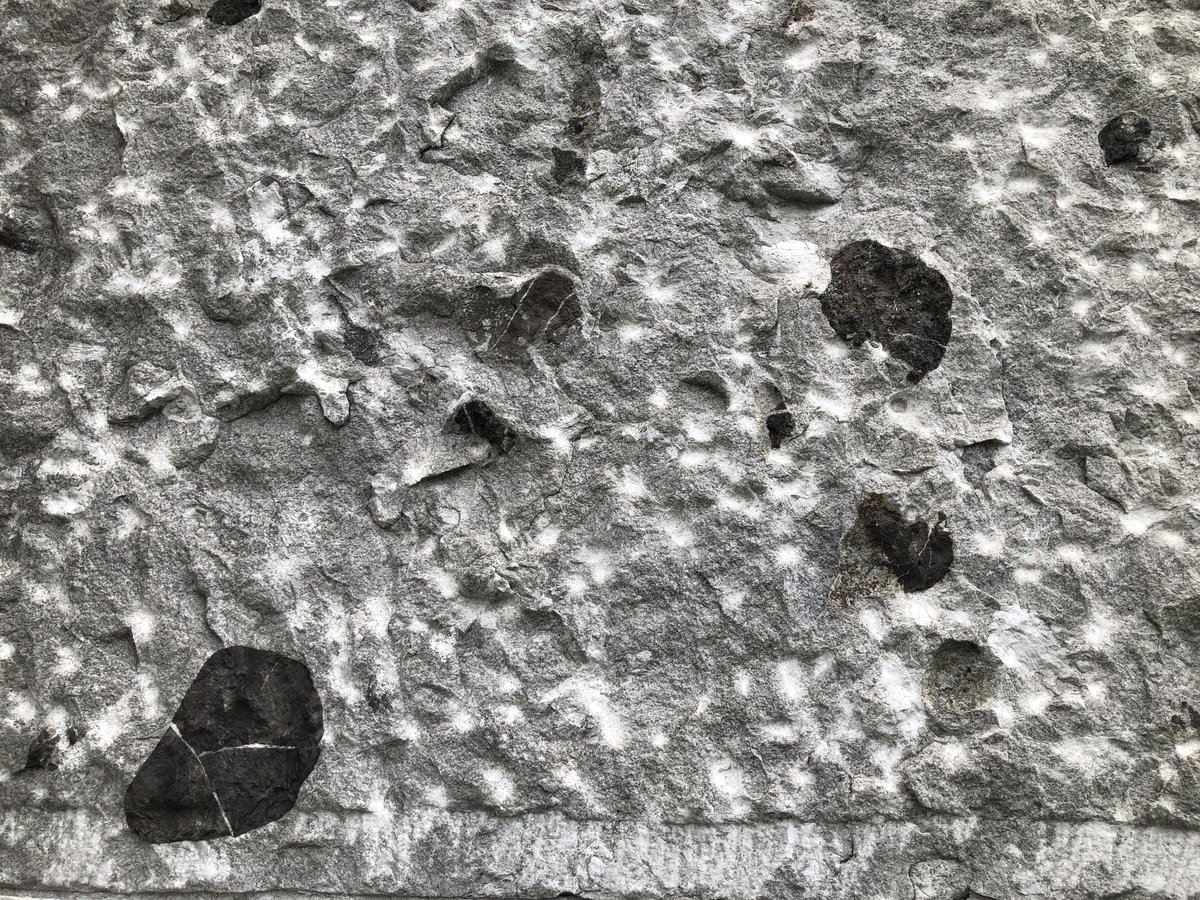 Fossils in the rocks of Hall of Languages.