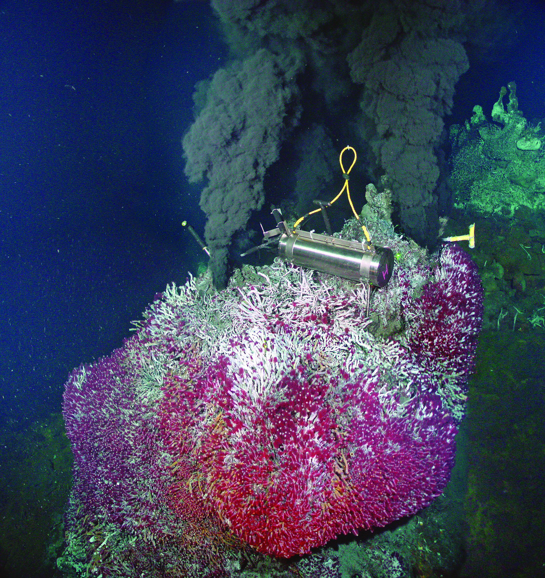 Hydrothermal Vent.jpg