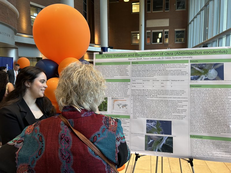 DAB at undergraduate research festival