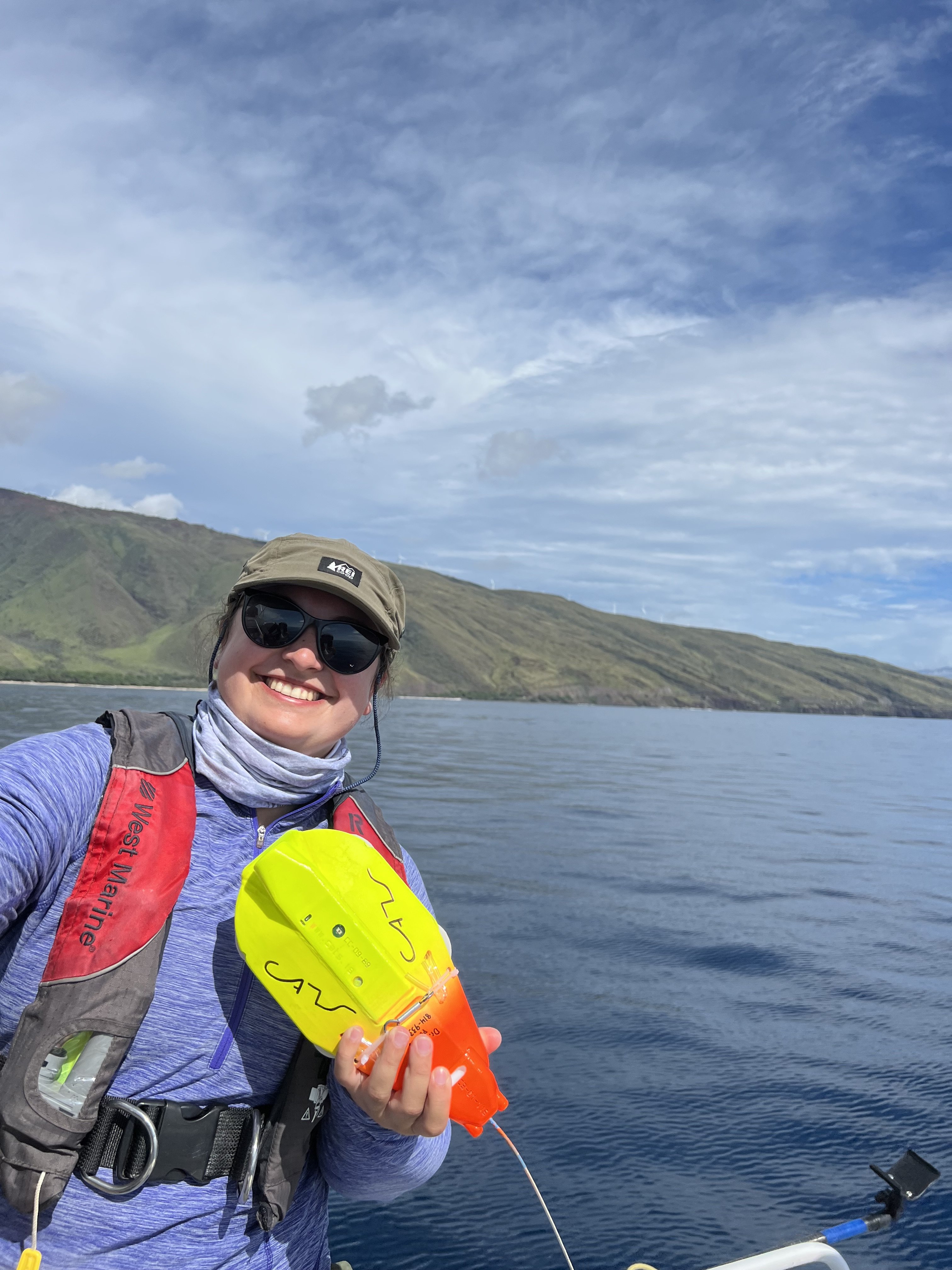 Study Links Humpback Whale Songs to Diving Behavior