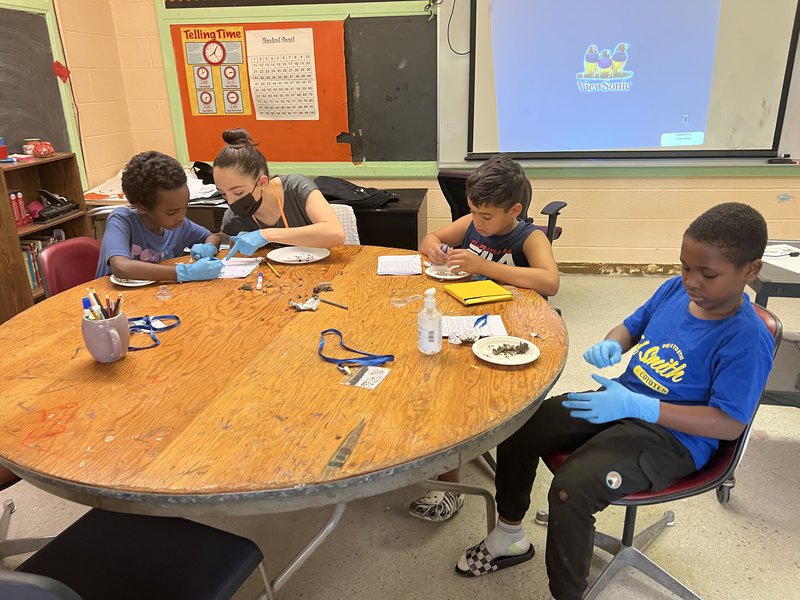 A group of kids sitting around a table working with owl pellets on a plate. A woman showing something on a paper to one of the kids.