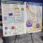 Two educational posters titled 'Gene Technology' and 'How Genes Work' are displayed on an easel at an outreach event, featuring illustrated diagrams of DNA fingerprinting, genetic engineering, DNA structure, and protein synthesis.