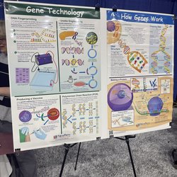 Two educational posters titled 'Gene Technology' and 'How Genes Work' are displayed on an easel at an outreach event, featuring illustrated diagrams of DNA fingerprinting, genetic engineering, DNA structure, and protein synthesis.