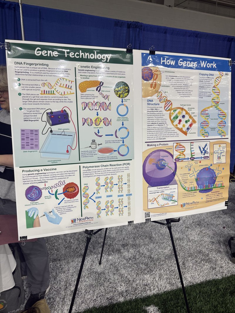 Two educational posters titled 'Gene Technology' and 'How Genes Work' are displayed on an easel at an outreach event, featuring illustrated diagrams of DNA fingerprinting, genetic engineering, DNA structure, and protein synthesis.