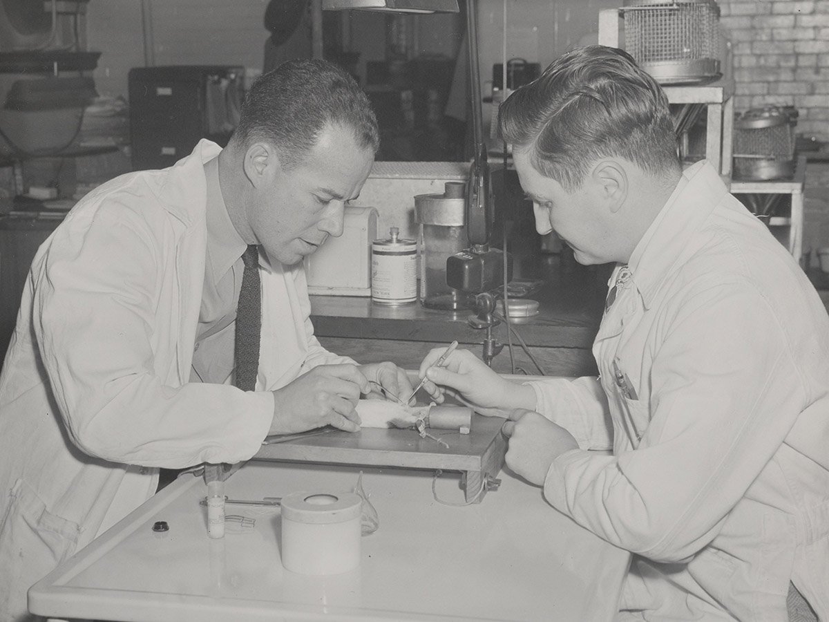 James Hope Birnie and Wilbur Eversoce dissecting a mouse.