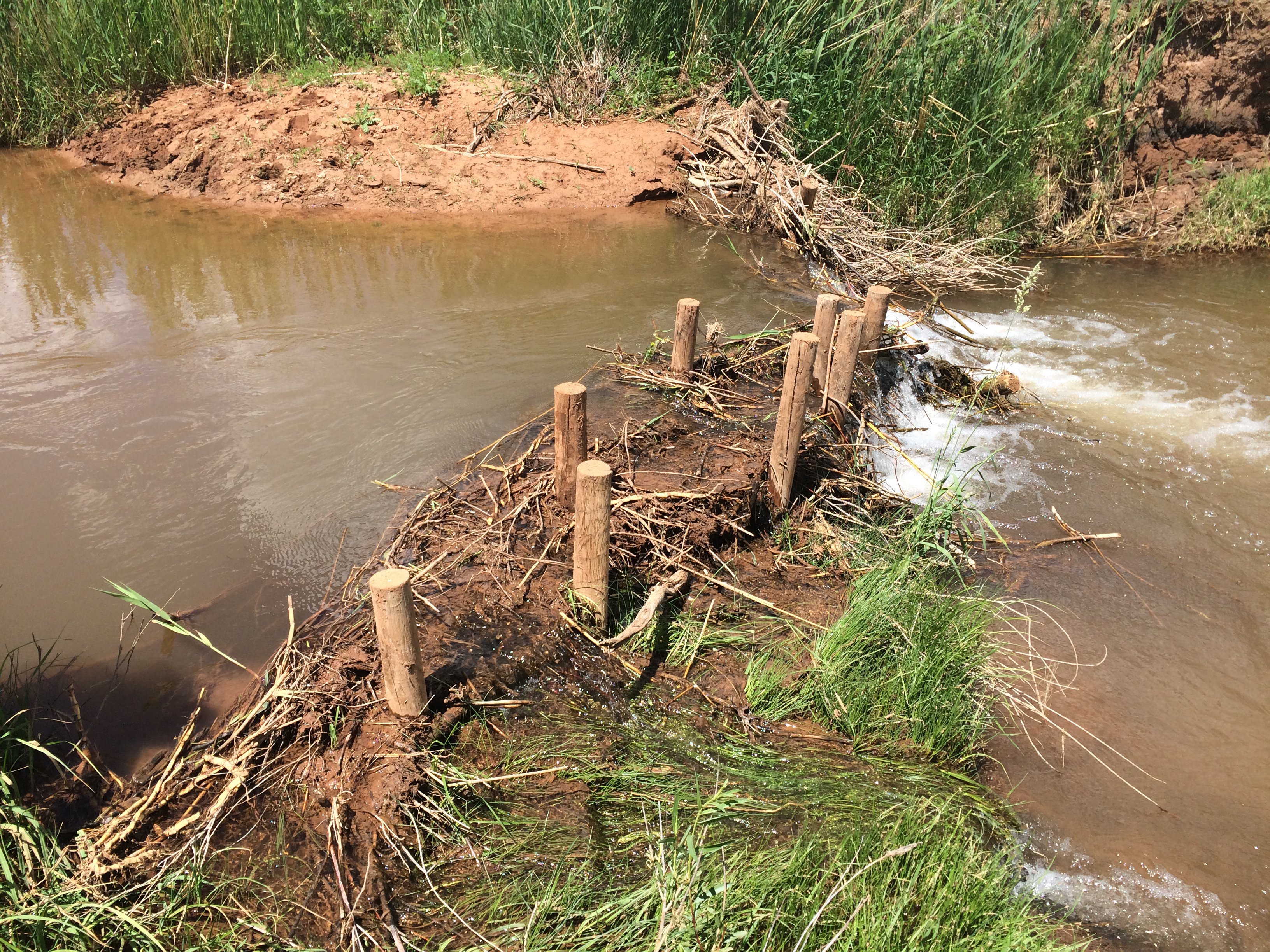 Beaver Dam Analogue