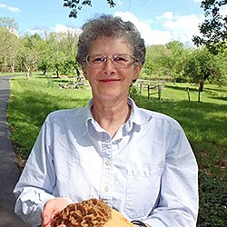 Karin Limburg