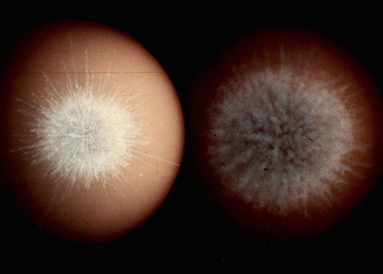 Side by side images of astrophysical explosions.