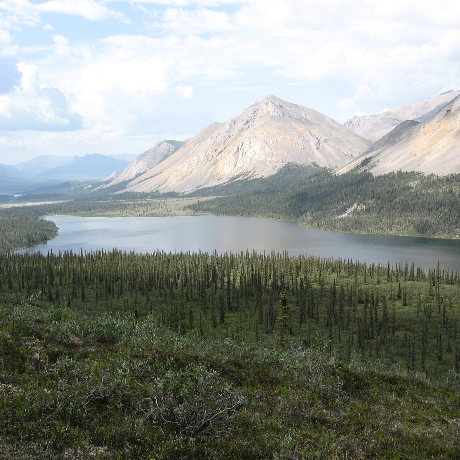 A wide shot of a lake in a forest with mountains in the background
