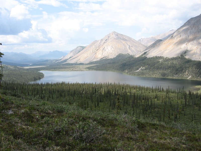 Lake in boreal forest majestic.